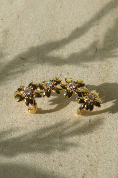 Daisy Ear Crawler