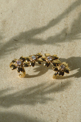 Daisy Ear Crawler