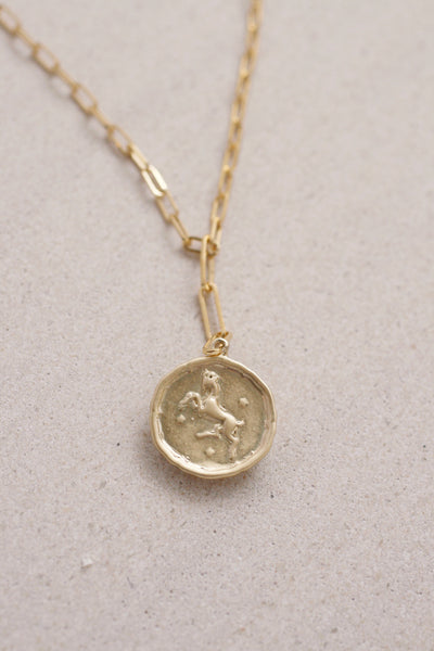 Paperclip Chain Zodiac Necklace