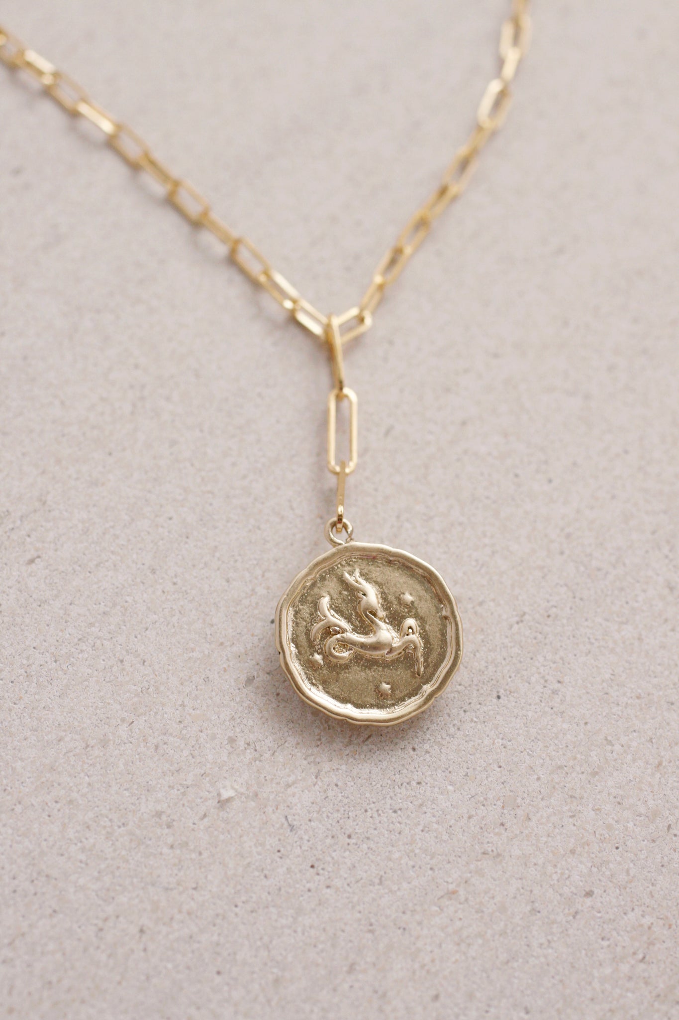 Paperclip Chain Zodiac Necklace