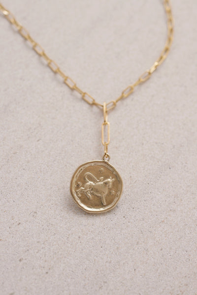 Paperclip Chain Zodiac Necklace
